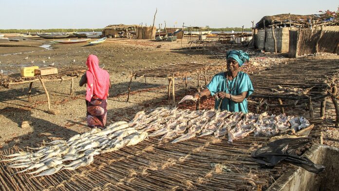 Femmes transformatrices