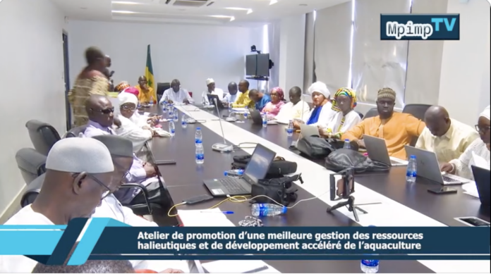 Capture d’écran 2024-05-07 à 17.00.39