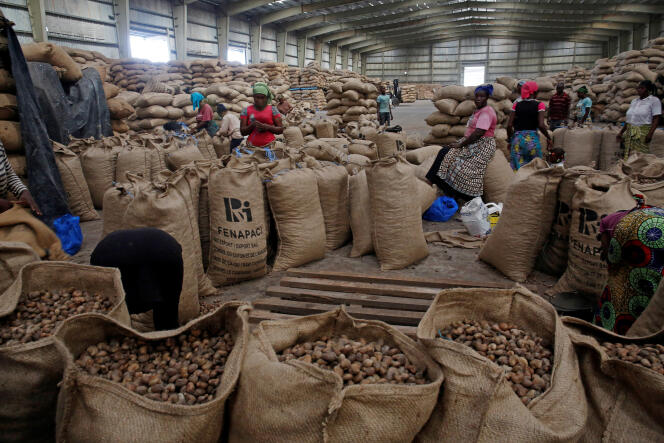 Women work at a cashew nut warehouse in Abidjan