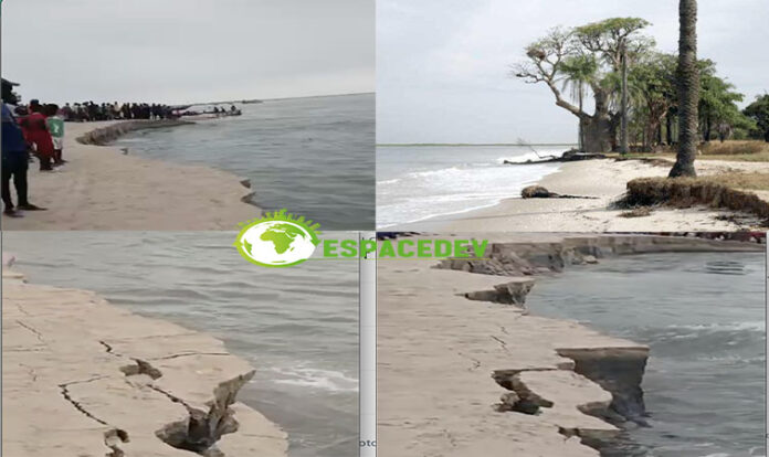 DJIFÈRE ESPACEDEV 755