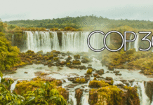 Réflexions de Belém (2) : avons-nous réellement besoin d’autant de réunions ?