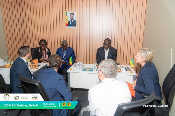 FB_IMG_1763584863027