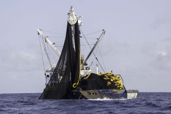 160406-ag-cap_des_palmes-4955