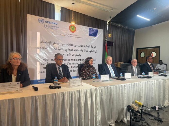 FB_IMG_1766056132621