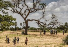 Résilience climatique : L’opportunité qu’offre le Programme SURAGGWA au Sénégal
