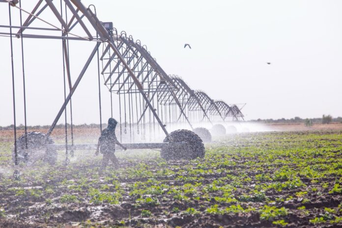 FB_IMG_1767397299173