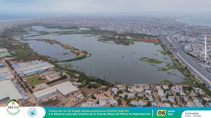 FB_IMG_1767785781248