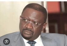 Lettre ouverte à Sadio : un soutien constant et désintéressé, du passionné de football que je suis