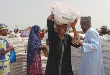 Afrique de l’Ouest et Sahel : l’insécurité alimentaire aiguë guette près de 52.8 millions de personnes