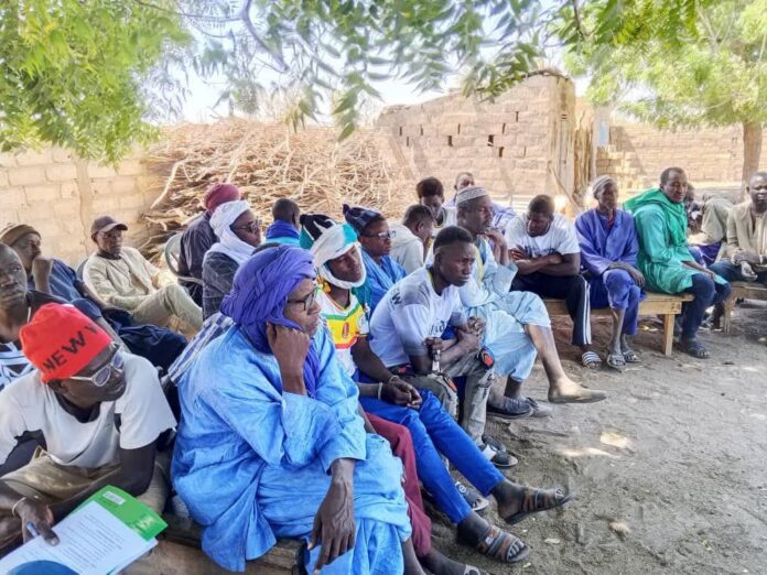 FB_IMG_1771795514721