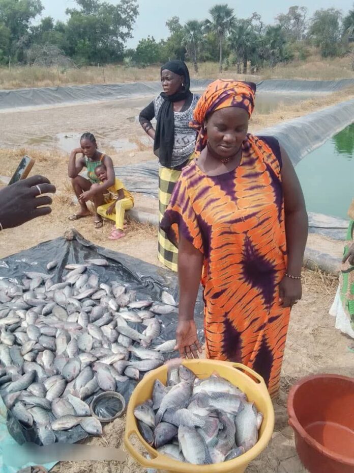 FB_IMG_1771949200559