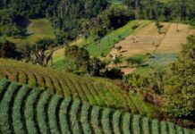 Progrès réalisés en matière de sécurité foncière : ce que montre un nouveau rapport mondial