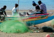 Gouvernance des pêcheries et prévention des conflits : l’engagement pris par la tutelle concernant les filets monofilament