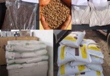 Les limites du système des prix maximums au Sénégal : un frein à l’innovation et à la qualité (4)