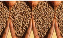 Les engrais et amendements organiques au Sénégal : entre attractivité économique et risques environnementaux et sanitaires (5)