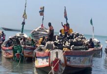 Pêche illicite : les résultats d’un contrôle inopiné sur le site de débarquement de Joal