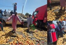 Sénégal : le tourisme peut -t-il contribuer à régler le problème d’écoulement des produits agricoles ?