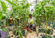 Agriculture climato-intelligente : les contours d’une nouvelle initiative régionale portée par la Banque mondiale