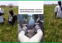 Engrais et amendements organiques : La nouvelle approche basée sur le coût de la dose à l’hectare et les avantages engendrés (6)