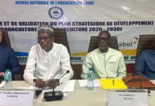 Aquaculture : Les contours du Plan Stratégique de Développement 2026-2030 de l’ANA