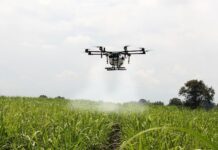 Pourquoi l’AgriTech a besoin de compétences humaines pour changer d’échelle