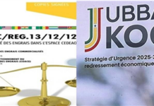 Le système de fixation des prix maximums des engrais organiques au Sénégal : des problèmes juridiques ou institutionnels à résoudre (9)
