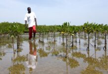 Journée mondiale des océans : L’aire marine protégée de Joal citée en exemple
