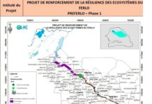 Où en est-on avec le PREFERLO ?