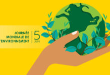 Journée mondiale de l’Environnement 2026 : la résilience climatique des territoires en vedette