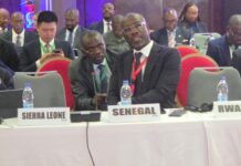 La valorisation des minéraux critiques en question en Afrique*