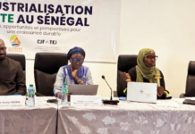 Industrialisation verte : le Sénégal cherche encore le bon financement