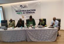 Gaz, industrialisation et climat : le difficile équilibre du Sénégal