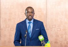 Journée nationale de l’arbre : l’Appel du Dr Aliou Gori Diouf