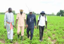 Suivi de la campagne agricole 2026 : la méthode du Dr Cheikhou Oumar Ba Sédhiou