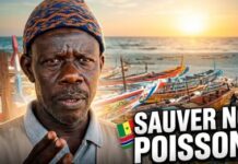 Pourquoi la pêche artisanale a besoin de coopération