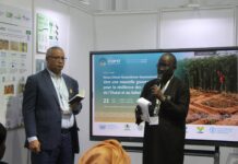 COP 17 : l’approche intégrée de restauration des écosystèmes et de souveraineté alimentaire prônée par le CILSS