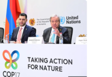 COP17 biodiversité : dans l’attente d’un bilan à mi-parcours de l’accord dit de « Kunming-Montréal »